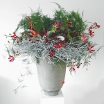 15. Hemels nest 15. Hemels nest
