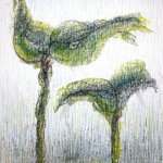 Planten, 2 plantjes Planten, 2 plantjes