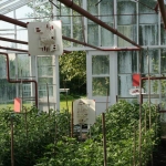 Greenhouse 2 Greenhouse 2
