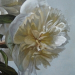 Detail 1 van pioenrozen