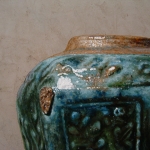 Detail 2 van Johannesbroodboom peul