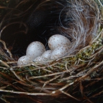 Detail 1 van vogelnesten
