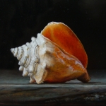 Detail van schelpen 1