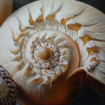 Detail 2 van schelpen 1