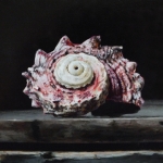 Detail 1 van lantaren en schelpen