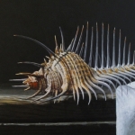 Detail 2 van pot en schelpen