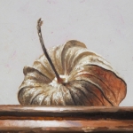 Detail 1 van physalis 2