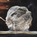 Detail 2 van physalis 2