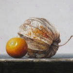 Detail 5 van physalis 2