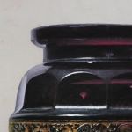 Detail 6 van physalis 2