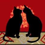 Black Cats Date Black Cats Date