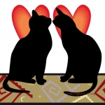 Black Cats Date Black Cats Date