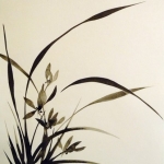 Orchidee Orchidee