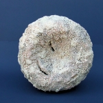 Krimpaardappel Krimpaardappel