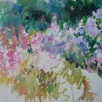 mijn tuin in juli mijn tuin in juli