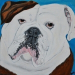Bulldog Bulldog