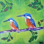 ijsvogels ijsvogels