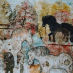 paarden paarden