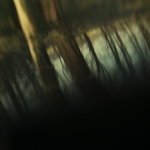 Hollandscape Hollandscape