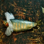 Bondage Fish Bondage Fish