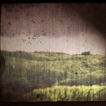 Country Scape Country Scape