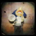 Doll bird Doll bird