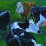 Groep koeien Groep koeien