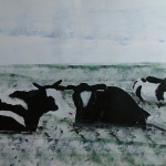 Zwartbont Zwartbont