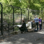 Wolvenverblijf Artis Wolvenverblijf Artis