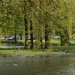 duckstad duckstad