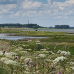 denkend aan Holland ... denkend aan Holland ...