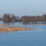 Oude Waal Oude Waal