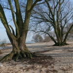 Sluiswaard, Beuningen Sluiswaard, Beuningen