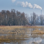 Staartjeswaard, Beuningen Staartjeswaard, Beuningen