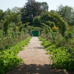 Monet Monet