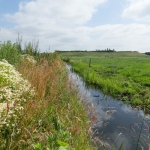 BOBM-polder BOBM-polder