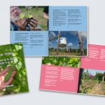Moestuin Magazine Moestuin Magazine