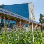 stadslandbouw stadslandbouw