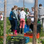 Moestuin Op De Horst Moestuin Op De Horst