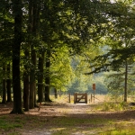 Lage Vuursche Lage Vuursche
