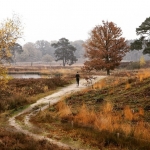Hatertse Vennen Hatertse Vennen