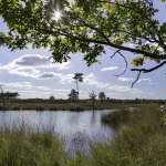 Hatertse Vennen Hatertse Vennen