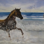 Paard in zee