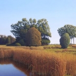 De Punt(dr)