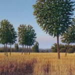 het veen