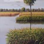 droogte, detail
