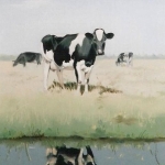 Weerspiegeling