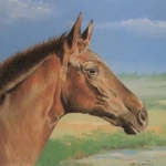 Paardenhoofd