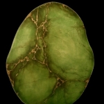 Structures of Life ...XIV Structures of Life ...XIV