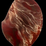 Structures of Life ..XXX Structures of Life ..XXX